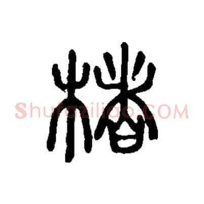 楮