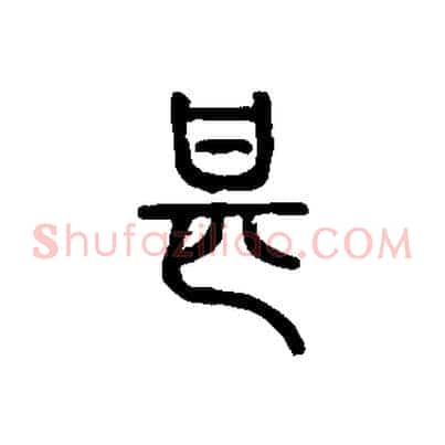 甚