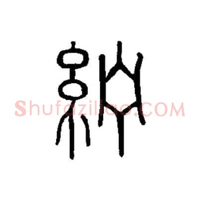 紵