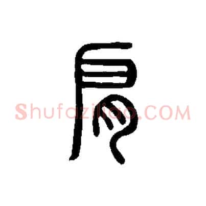 肩