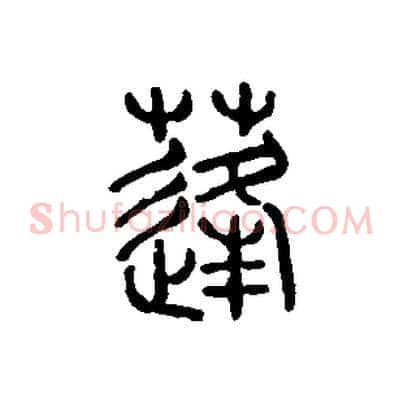 蓬
