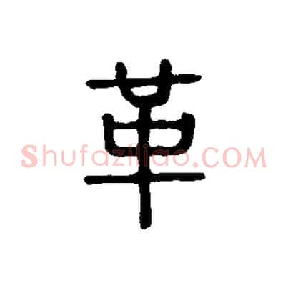 革