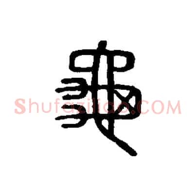 龜