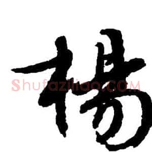 杨