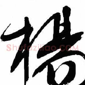楊