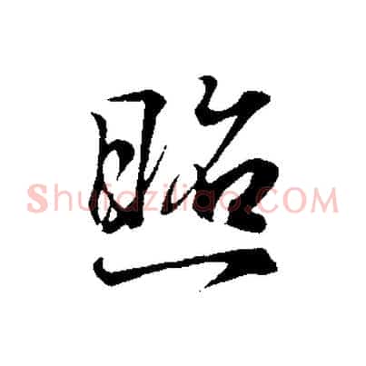 照