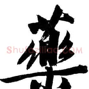 藥