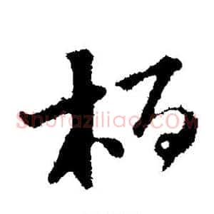 柏