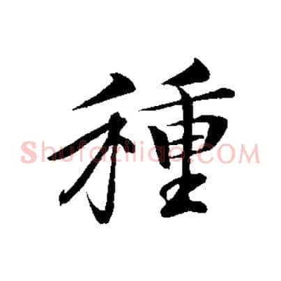 種