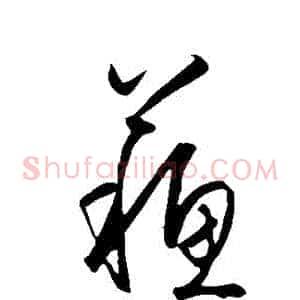 蘇