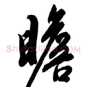 瞻