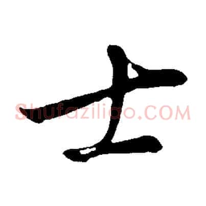 士