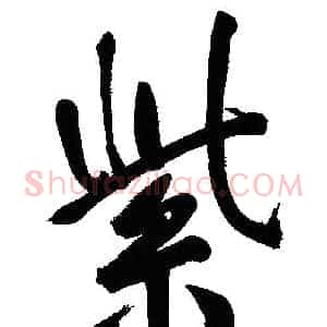 紫