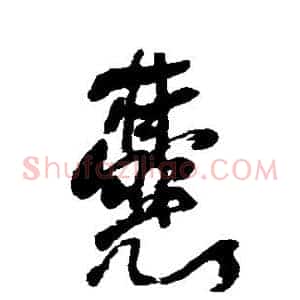囊