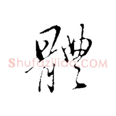 體