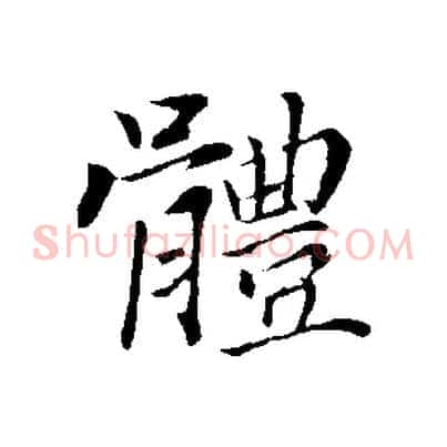 體
