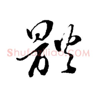 體