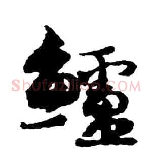 鲈
