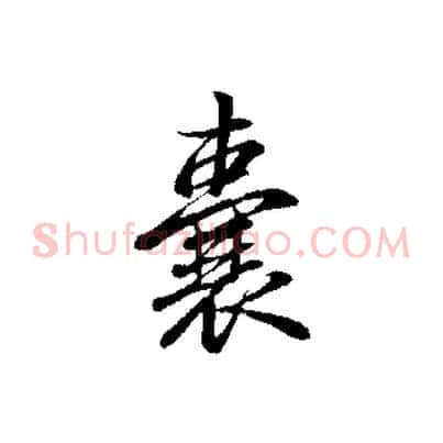 囊
