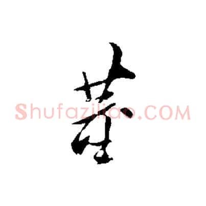 董