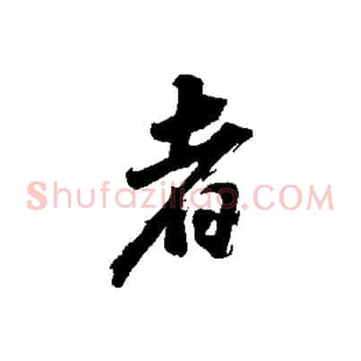 者