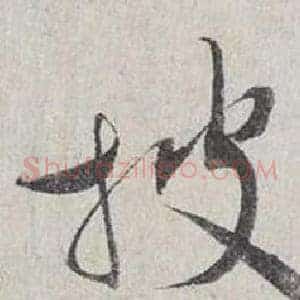 披