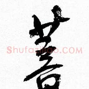 菩