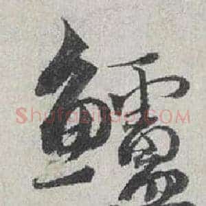 鱸