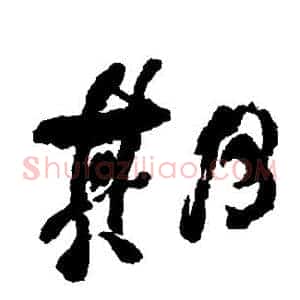 期