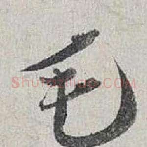 毛
