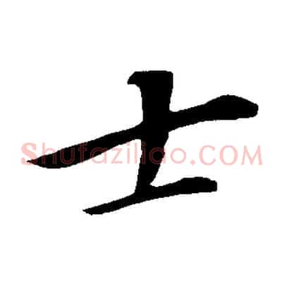 士