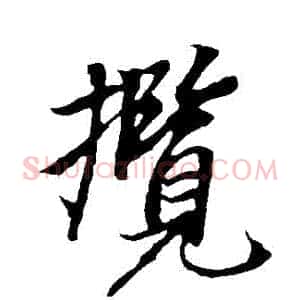 攬