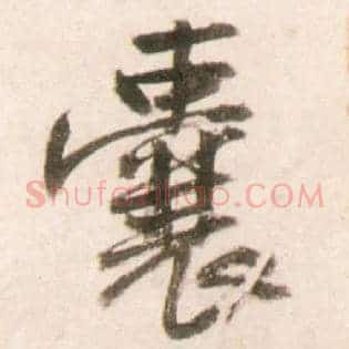 囊