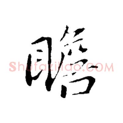 瞻