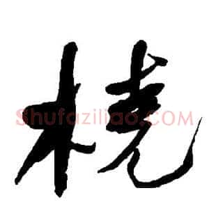 桡
