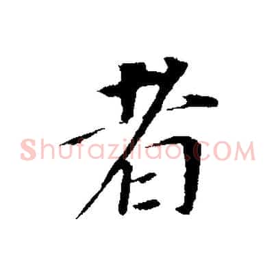 者