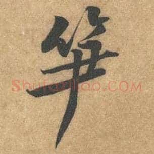 笋
