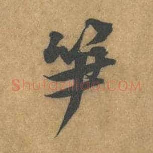 笋