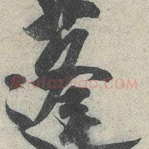 蓬