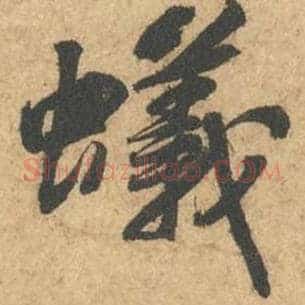 蚁