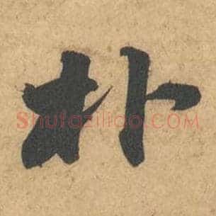 朴