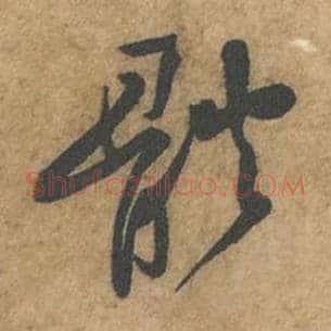 体