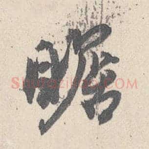 瞻