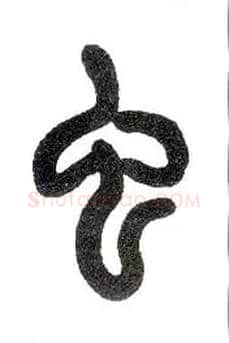 虫毛笔小篆写法,摘自近现代王福庵说文部首