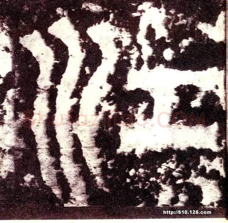 江毛笔小篆写法,摘自三国天发神谶碑
