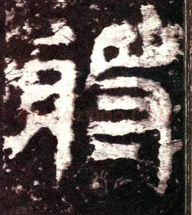 将毛笔小篆写法,摘自三国天发神谶碑