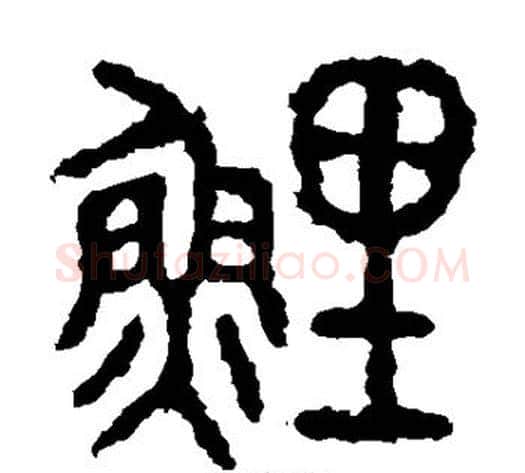 鲤字佚名毛笔篆书书法写法,摘自石鼓文