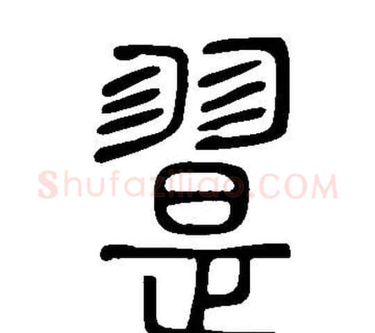 翨字许慎毛笔篆书书法写法,摘自说文解字
