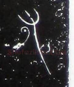 又毛笔大篆写法,摘自战国中山王三器