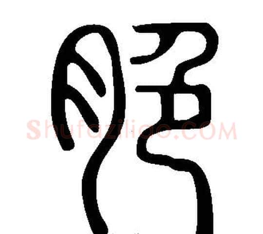 脃字许慎毛笔篆书书法写法,摘自说文解字